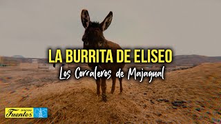 LA BURRITA DE ELISEO - Los Corraleros de Majagual (Video Letra)