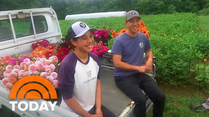 How This Family Turned A Dream Into A Flourishing Flower Farm - DayDayNews