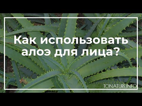 Как использовать алоэ для лица? | toNature