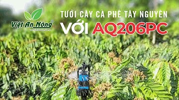 TƯỚI CÂY CÀ PHÊ SỬ DỤNG BÉC TƯỚI BÙ ÁP AQ206PC AUTOMAT ẤN ĐỘ