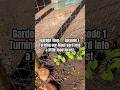 Garden Vlog #1 🌿 Turning Our Maui Yard Into a Food Forest #gardening #garden #maui #gardenshorts
