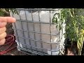 GENIUS - Collecting Rainwater Off My Roof for My Garden!