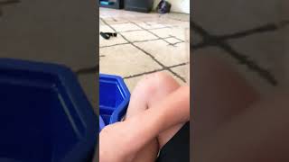 The Frist Youtube Video