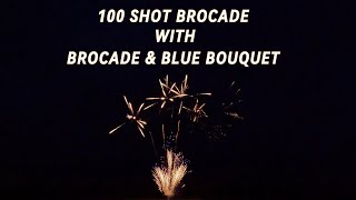100 SHOT BROCADE KING W/BROCADE AND BLUE BOUQUET 1.3G CAKE #fireworks #pyro #demo #4thofjuly
