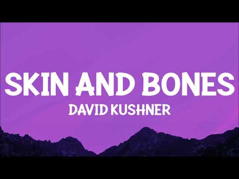 David Kushner - Skin And Bones