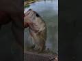 Cold front dinker #newmexicofishing #bassfishingismylife #bassfishingproductions #bassfishing