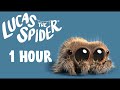 Lucas the Spider  1 Hour