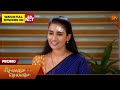 Chellame Chellame - Promo | 17 Jun 2026 | Tamil Serial | Sun TV