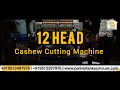 12 Head Cashew Cutting Machine | Cashew Shelling Machine | Automatic Cashew Cutting Machine