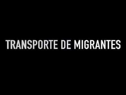 Cayó organización de tráfico de migrantes que permitió el paso de 1500 extranjeros por Colombia