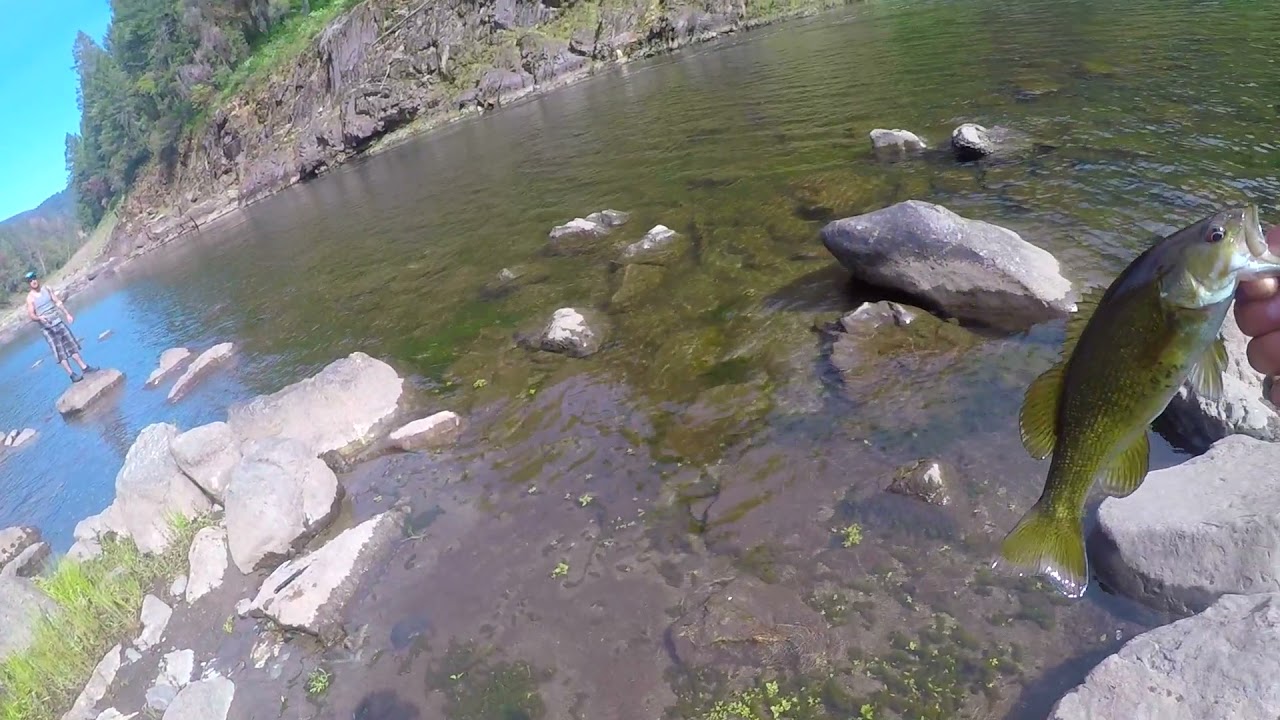 north fork feather river fishing