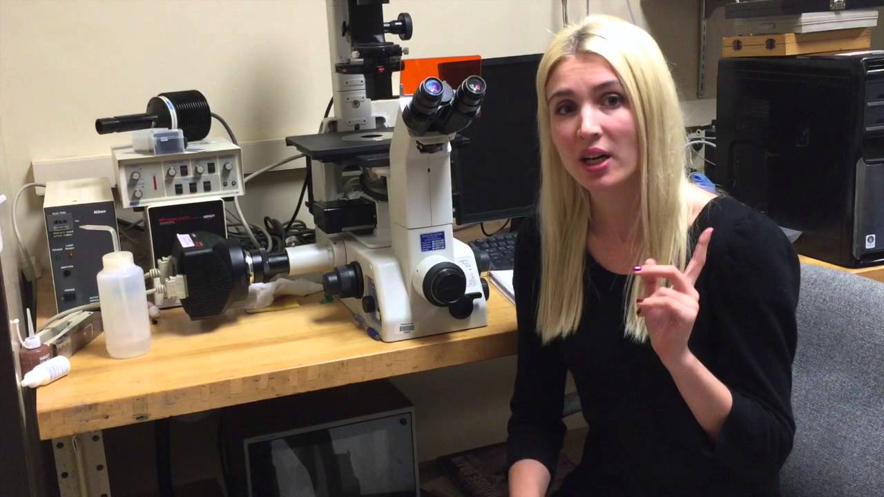 Why double strand breaks in DNA are bad for you