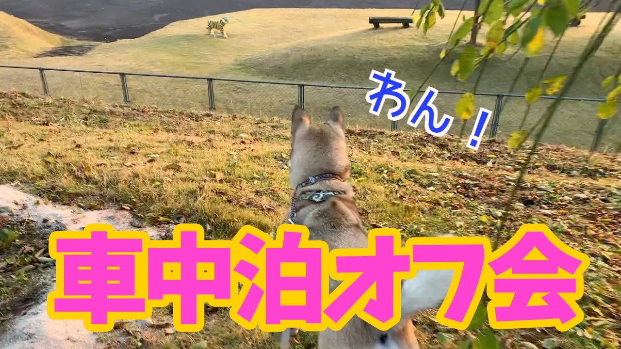 【車中泊オフ会】久しぶりに参加して来た🐕🐾