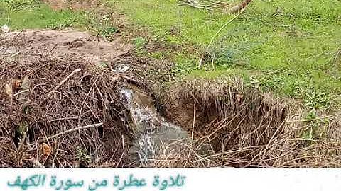 الشيخ سعيد  الحرشني ماتيسر من سورة الكهف تلاوة قديمةللشيخ