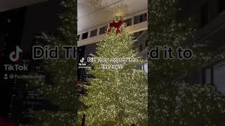 GRISWALD TREE HACKS 😂 IN PUBLIC