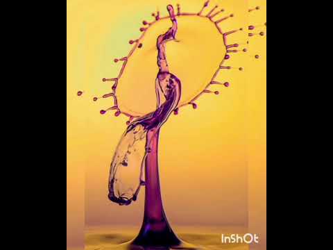 The Heaven of NATURE HD WALLPAPER in the version of 💧 drops //BJ Thomas -Raindrops//🌿🌲🌳🌻🌺🌹💦🌏🌧
