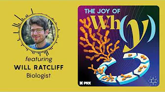 How Did Multicellular Life Evolve? | PODCAST: The Joy of Why