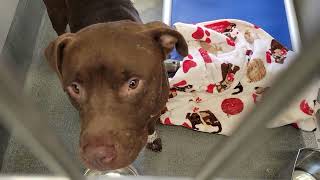 acs A649986
