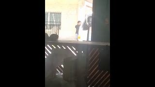 Colegialas Disque Estudiando