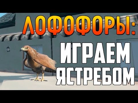 GTA 5 - Как Играть За Ястреба? [ЛОФОФОРЫ] #8