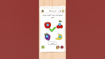 Brain test as level 384