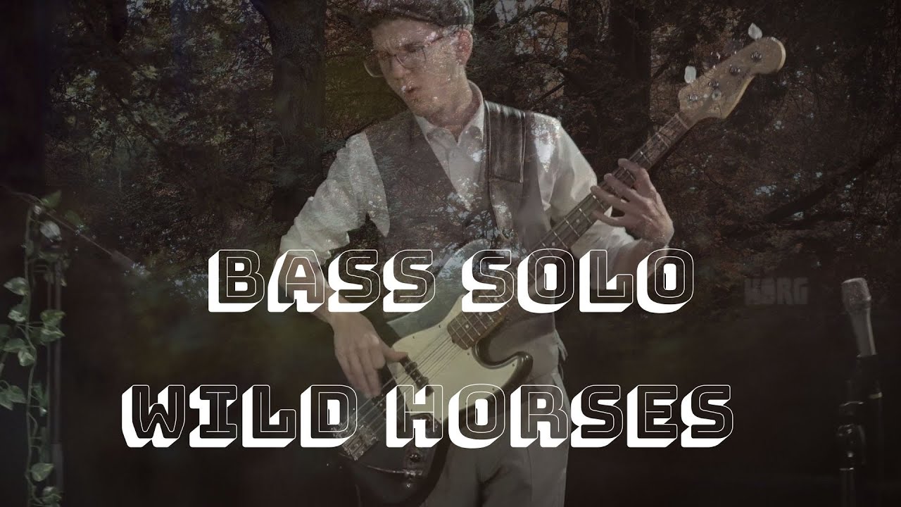 Wild Horses - Bass Solo (live in Regensburg)