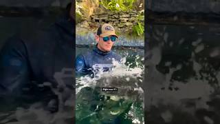 Celebrity Man Explains Why This Alligator Won't Kill Him #shorts Profile