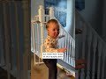 Sneaky Toddler Giddy After Breaking Through Protective Fence #Shorts