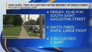 17-year-old girl becomes second suspect arrested in Pulaski Memorial Park shooting
