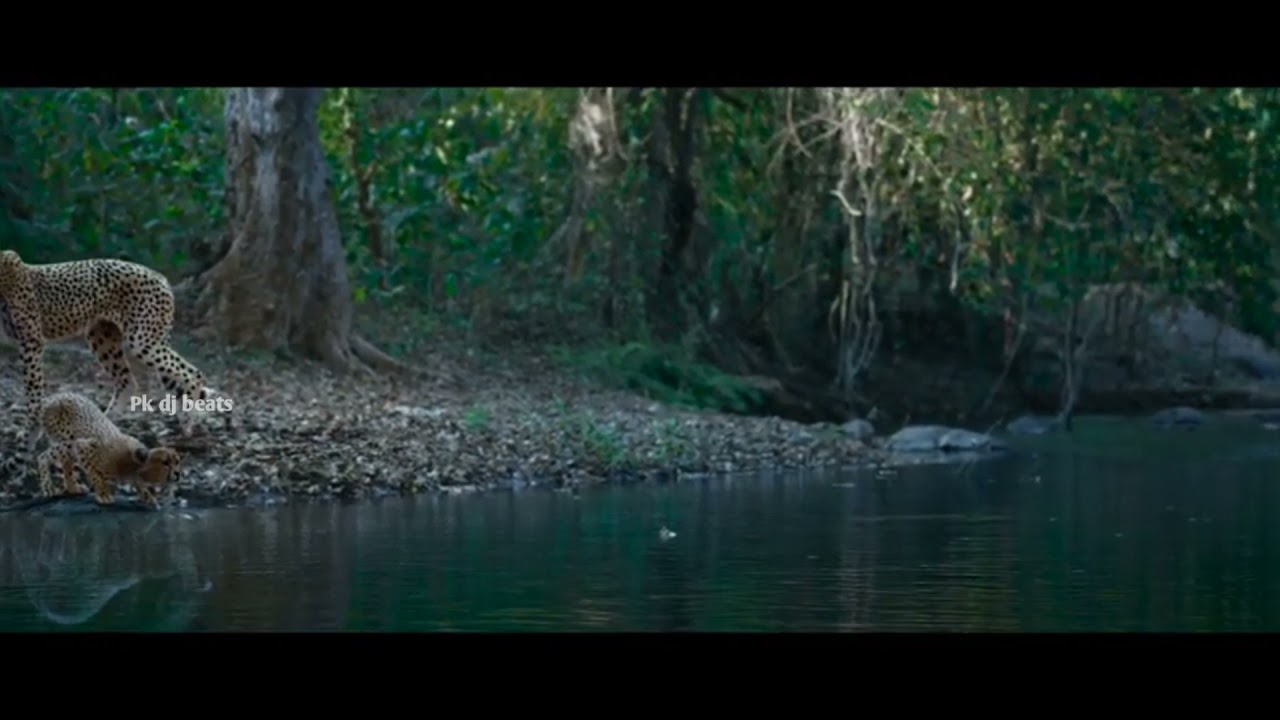 Acharya​ - Siddha's Saga Teaser, acharya songs, acharya siddha teaser, acharya trailer, Siddha Saga