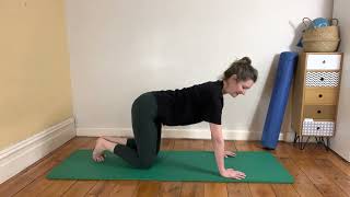 4 Point Glute Rock Backs 2022