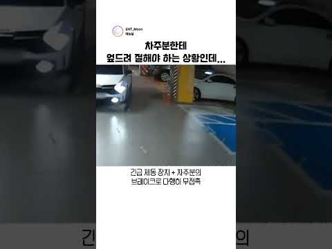 차주분한테 엎드려 절해야 하는 상황인데... #블랙박스 thumbnail