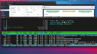 qbee connect terminal ssh access