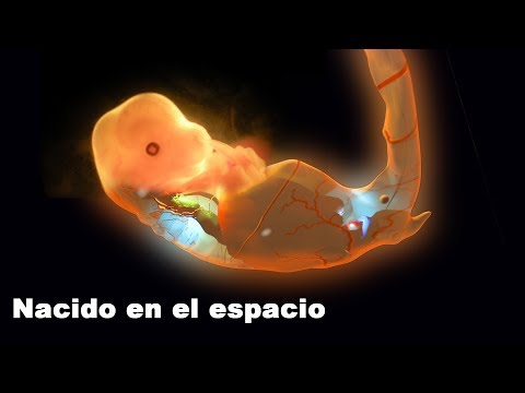 Vídeo: Los Científicos Buscan Mujeres Que Deseen Dar A Luz En El Espacio - Vista Alternativa