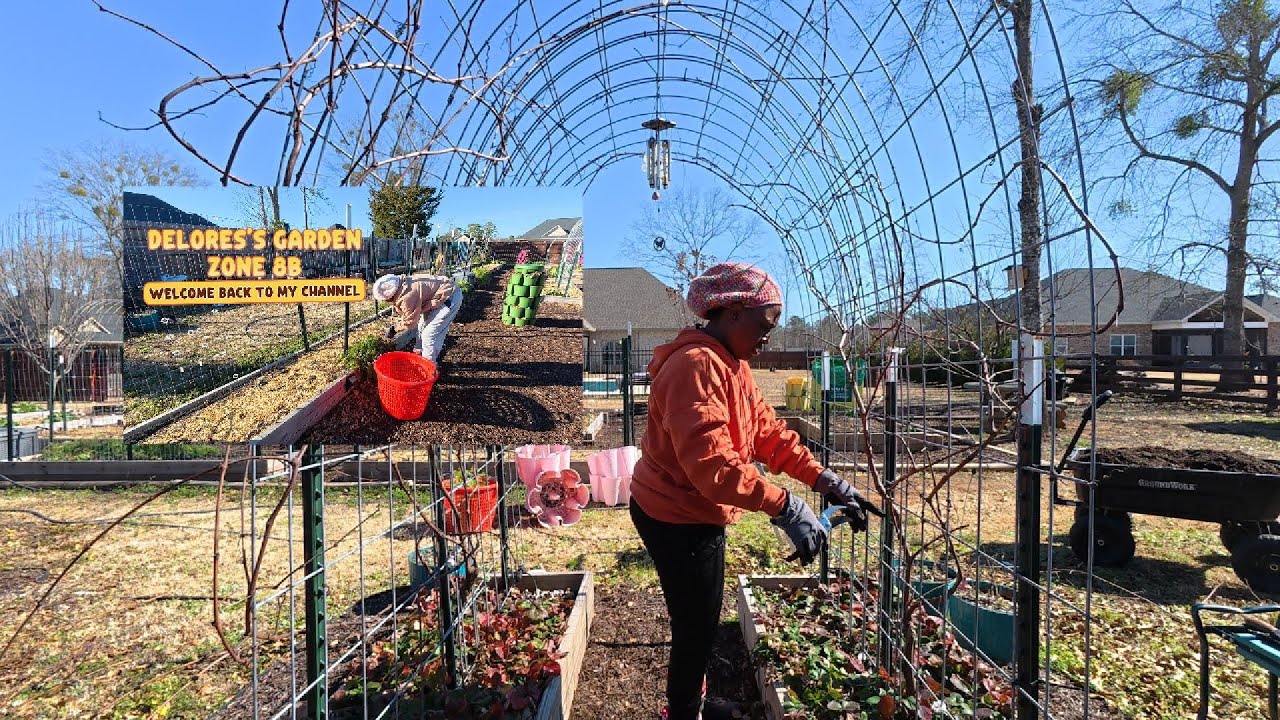 2/9 Часть 2. Реставрация ягодного сада - Завершение столь необходимого ухода за садом - Подготовк...