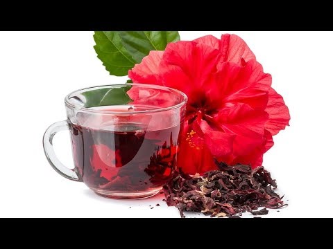 Os 10 Benefícios do Chá de Hibisco Para Saúde | Dicas de Saúde