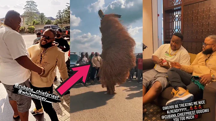 WhiteMoney Storm Owerri As Chief Priest Welcome Him With Best Ceremonial Masquerade In Igboland