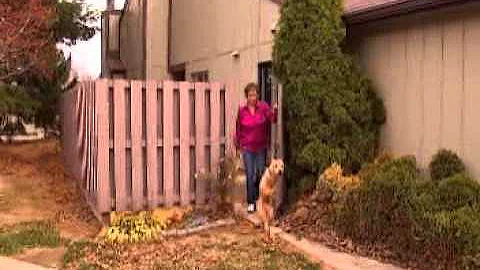 Faith the two-legged dog