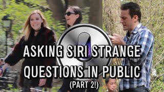 Asking Siri Strange Questions in Public (Part 2!)