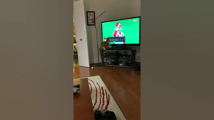 Kitty loves Baseball