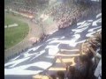 LA REVO 1928 MANTA GIGANTE CONTRA LOS PERROS 2012