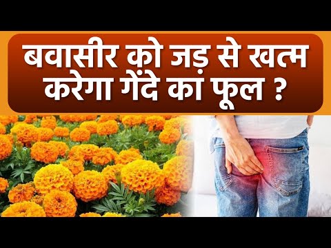 वीडियो: घाटी की गेंदे: क्या ये फूल जहरीले होते हैं?