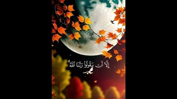 القران الكريم القران الكريم #اكسبلور #دويتو #duet #تيك_توك #لايك #لا #ترند #حالات_واتس