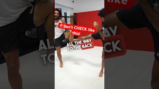 CHECK Leg Kicks From an MMA Stance PT 1/3 #mma #combatsport #ufc #martialarts #combat  #fightskills