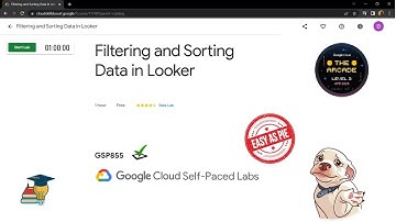 Filtering and Sorting Data in Looker || [GSP855] || Solution