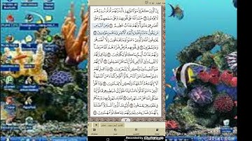 تصحيح تلاوة سورة البقرة | من آية ٦ إلي آية ١٠   قناة معلوماتية قرانية