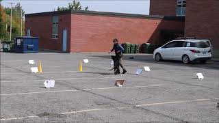 AKC Virtual Rally Novice Course 3 Elee