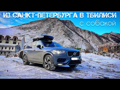 Из Санкт-Петербурга в Грузию на машине с собакой