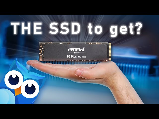 Crucial P5 Plus 1TB Internal SSD NVMe PCIe Gen 4 x4 CT1000P5PSSD8 - Best Buy