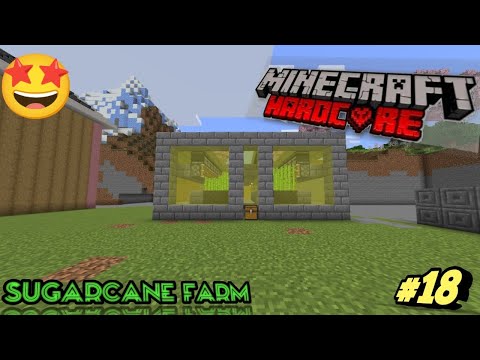 I built sugarcane farm in Minecraft Hardcore episode 18